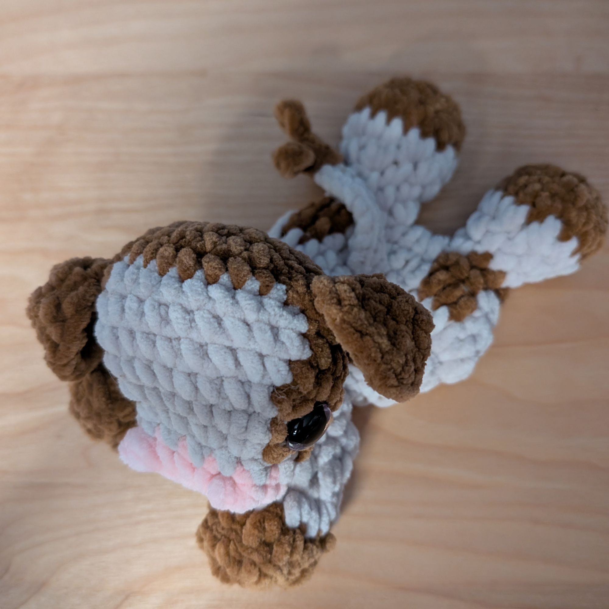 Lania, notre toute petite vache 🐄 (Format petit)