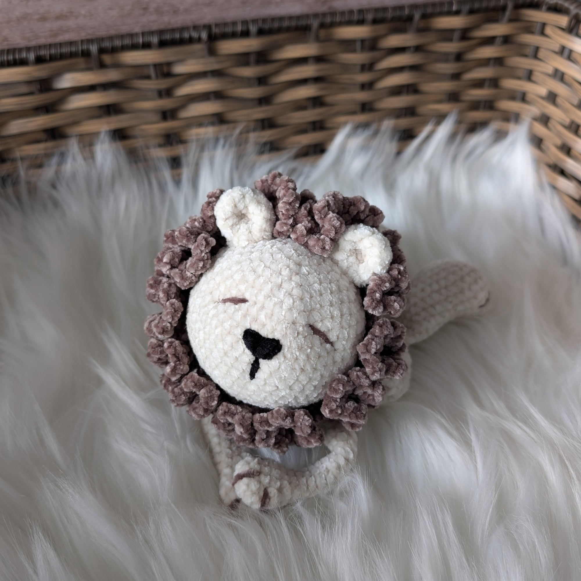 Mileo, notre petit lion (Format petit)