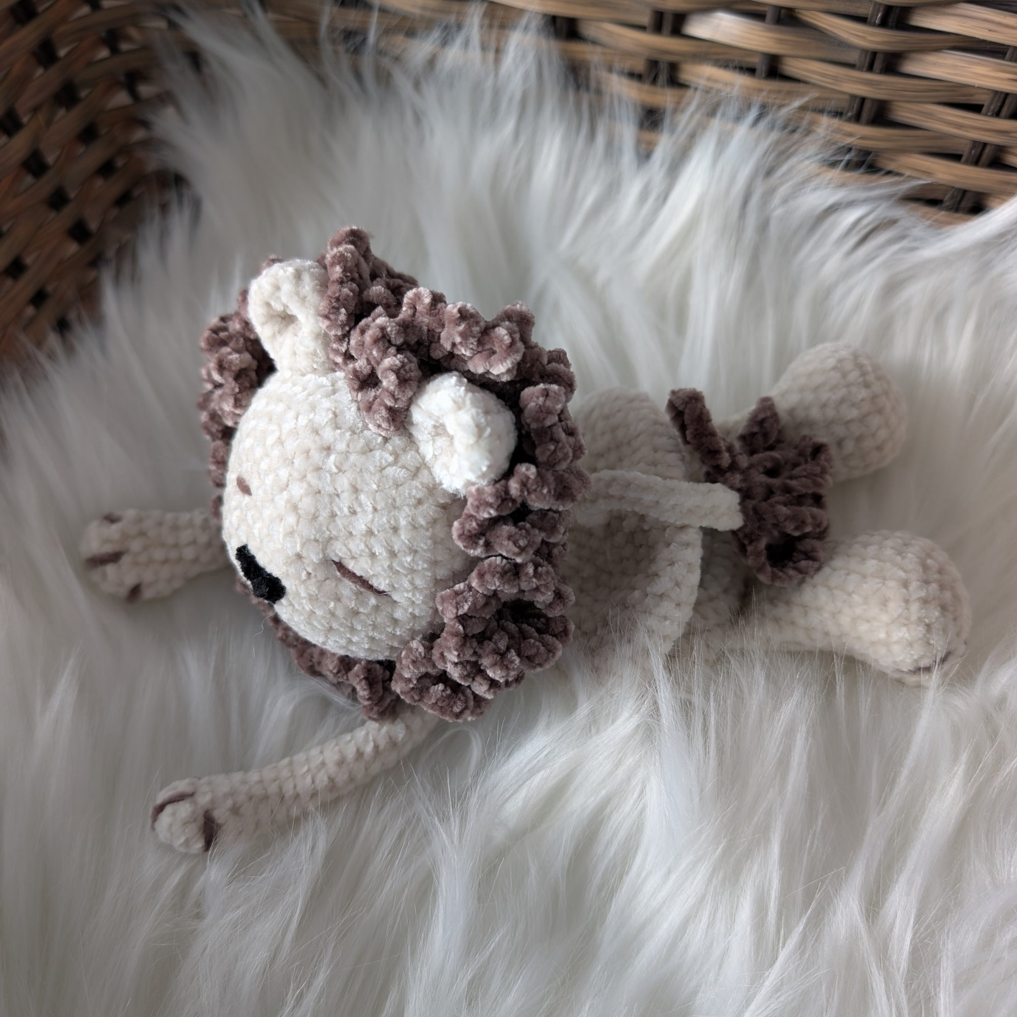 Mileo, notre petit lion (Format petit)