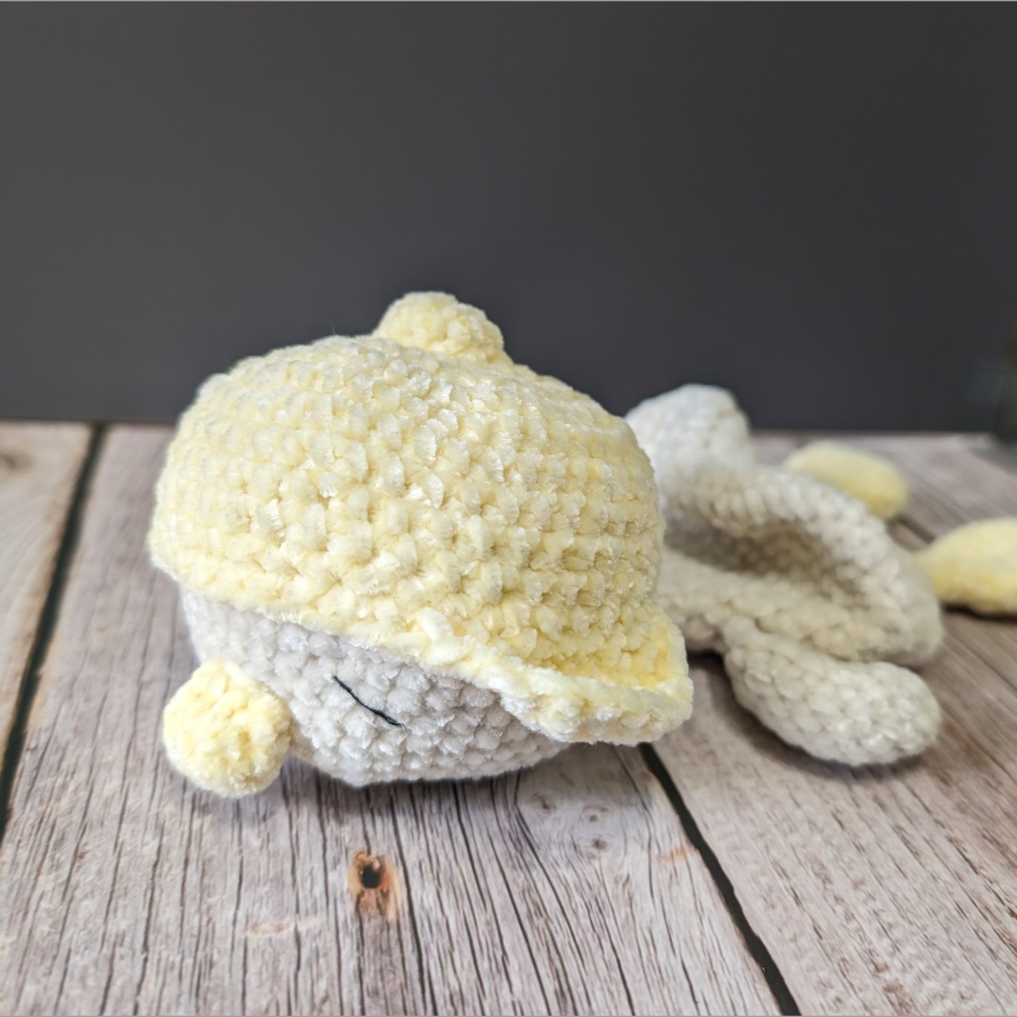 Plumi, notre petit oison (Format petit)