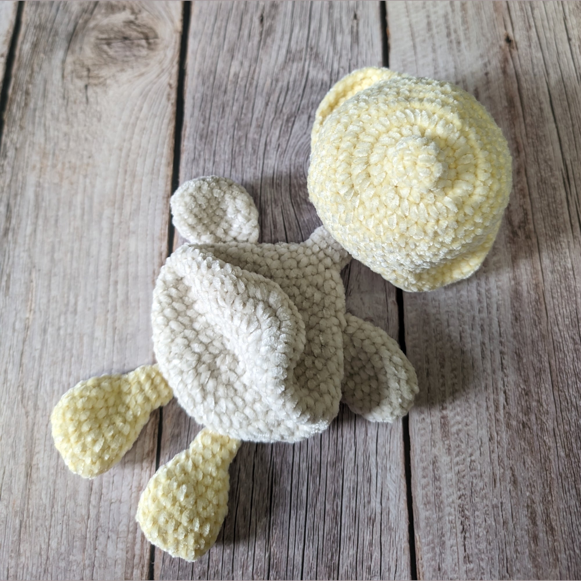 Plumi, notre petit oison (Format petit)