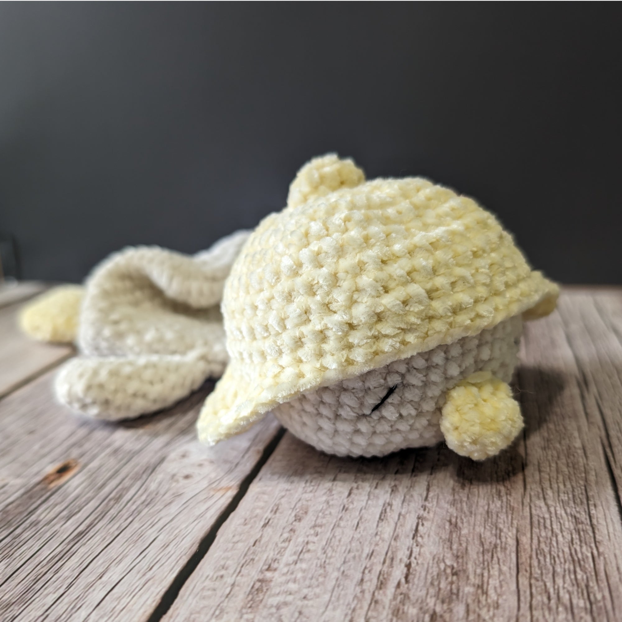 Plumi, notre petit oison (Format petit)