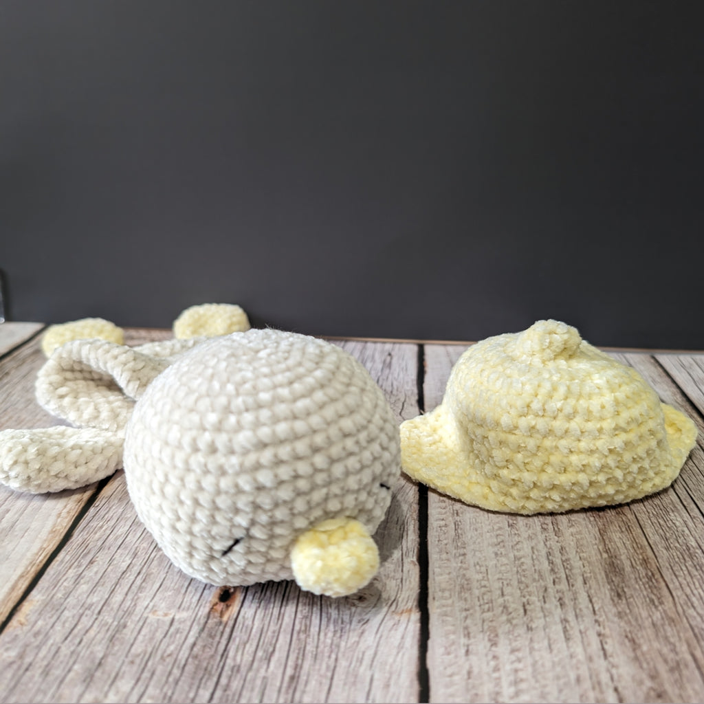 Plumi, notre petit oison (Format petit)