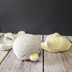 Plumi, notre petit oison (Format petit)