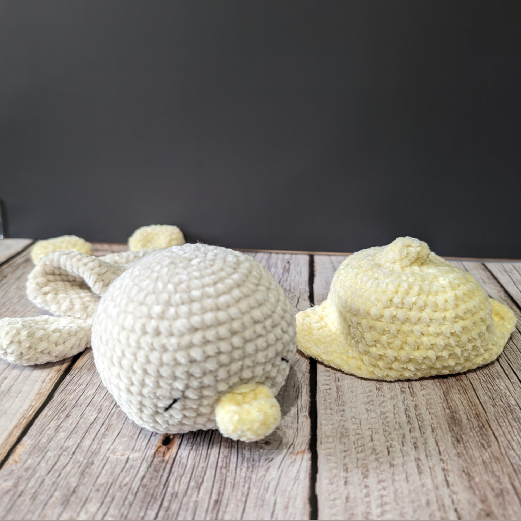 Plumi, notre petit oison (Format petit)